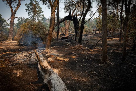 澳大利亚维多利亚州丛林火灾持续 约3万名居民被<em>要求</em>转移
