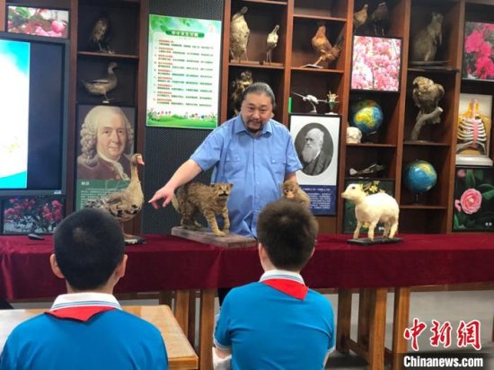 上海百岁教师的特殊节日礼物：4件“高龄动物标本”修复好了