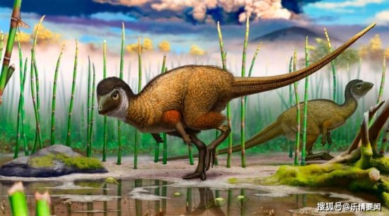 <em>侏罗纪和白垩纪</em>都是属于<em>恐龙的</em>时代，这两个时代有什么差别？