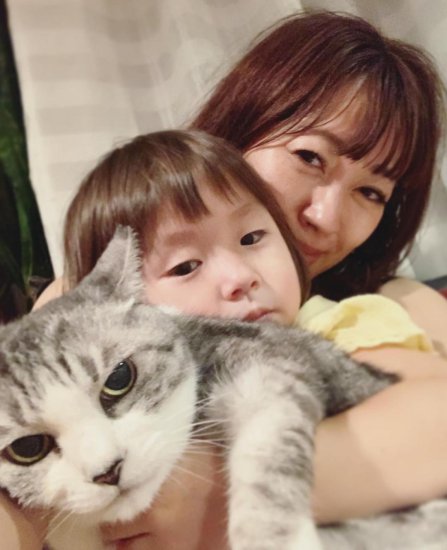 坂本龙一<em>家族</em>四代人与猫的故事：你我皆是被猫救过的人