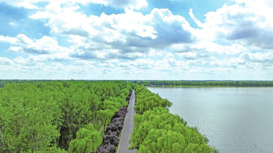 槐荫黄河河务局全力推动黄河流域生态保护和高质量发展 打造多彩...