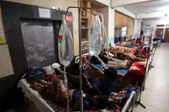 孟加拉国今年以来逾1500人死于登革热 确诊超30万<em>例</em>