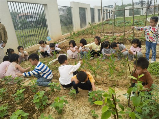龙南市渡江镇中心幼儿园开展“快乐种植，趣味测量”活动