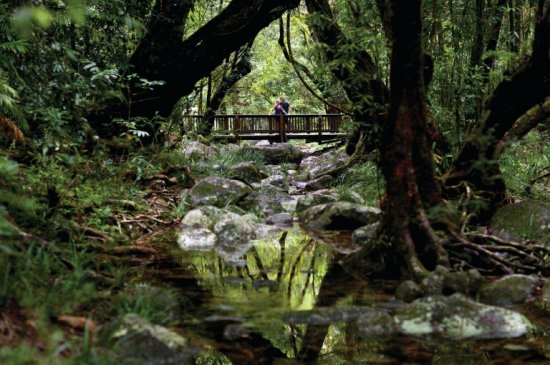 澳媒：澳大利亚一州宣布将热带雨林等4个国家公园归还<em>土著人</em>