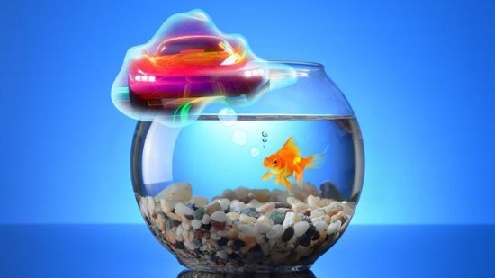会开车的金鱼：为什么科学家会教鱼在<em>带轮子的</em>水缸中导航？