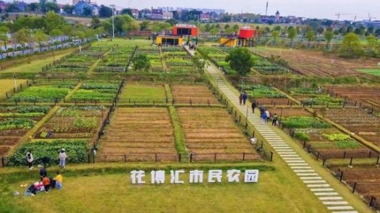 租块地种菜，到武汉郊区当“都市农夫”