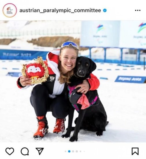 北京冬残奥会，<em>为何给</em>这只导盲犬颁发“奖牌”？
