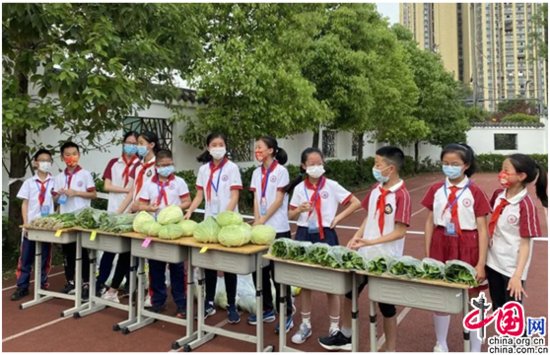 劳动结硕果，“蔬”香漫校园 成都龙泉驿东山学校蔬菜大丰收了！