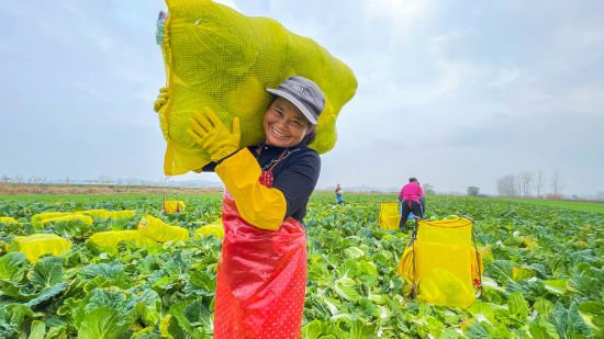 苏果农超对接基地入选杭州亚运会农产品供应商名单