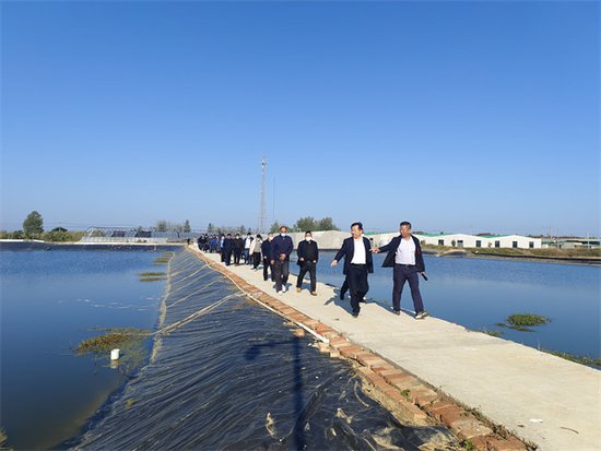 池塘标准化改造的泗阳路径
