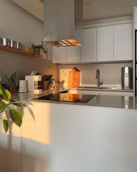 这个厨房好棒，<em>纯白色</em>的设计，U字型的布局，动线合理，储物空间...