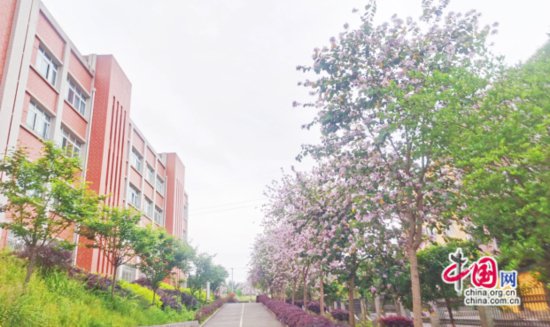 以花育人，宜宾长宁花滩中心校让教育步步“生花”