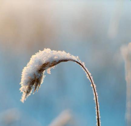 十首冬日绝美古诗，一起邂逅初冬美景。