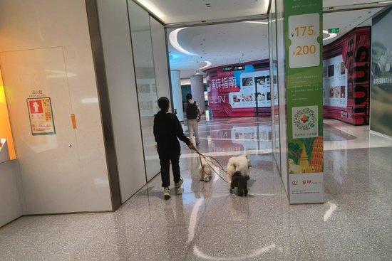 深圳持续推进“宠物友好”<em>商场建设</em> 打造人宠共生和谐城市