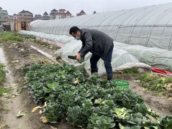 江干区丨杭州好房东！每天都会给隔离租客送自己种的蔬菜