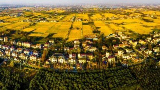农业发展全国第一，而且是蝉联！看看是<em>上海哪个区</em>？