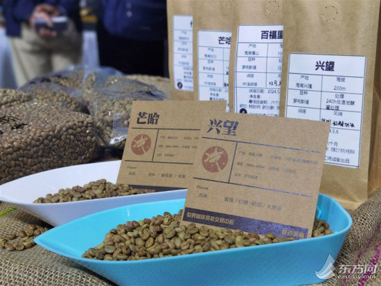 瞄准从“种子到杯子”全产业链 闵行区发布推动咖啡产业发展相关...