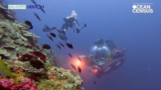 日本财团启动寻找<em>海洋生物</em>新物种项目 计划十年内发现10万个