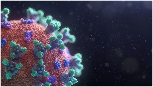 Science：揭示基因CIITA诱导人细胞抵抗<em>埃博拉病毒和</em>SARS样...