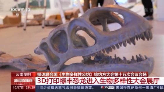重返侏罗纪丨3D扫描打印技术“复活”禄丰<em>恐龙</em>