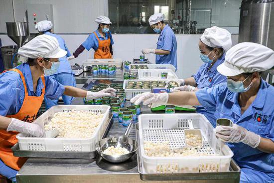 江西南丰：科技“加码”龟鳖养殖 产品升级打造市场新亮点