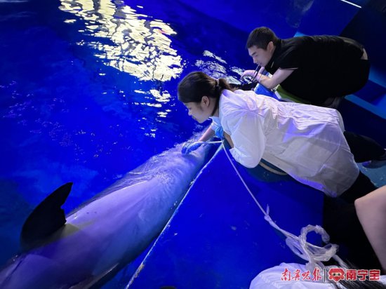 广西首只人工保育、自然分娩的海豚宝宝满月，市民踊跃为它<em>起名</em>