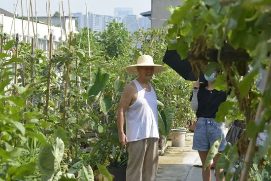 四川天府新区一小区的“共享菜园”获文明典范推荐