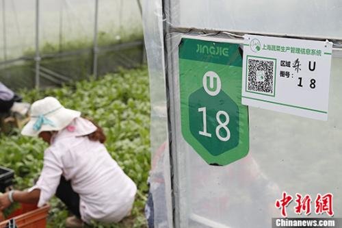 “网红”电商加码“订单式农业” 上海农民乐转型