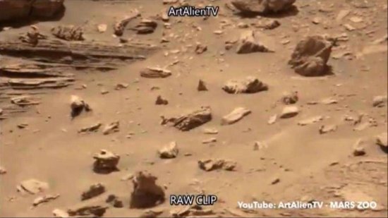 100%存在生命？UFO专家晒出NASA火星图像，火星生命的“证据...