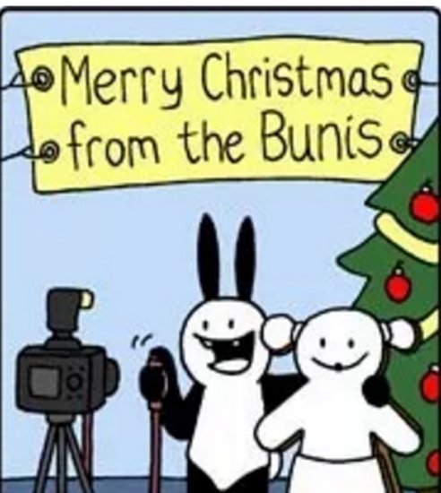 <em>奇趣</em>漫画：<em>圣诞节</em>没人陪伴，兔子赶做“纸板人”陪自己照相