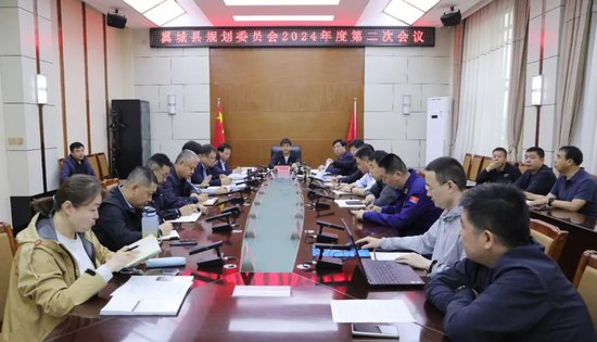 杨海林主持召开规划委员会2024年度第二次会议