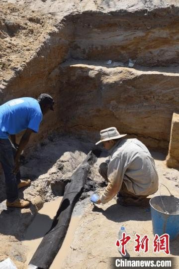 距今约47.6万年 国际<em>最新</em>考古发现最古老木质<em>建筑</em>的潜在证据