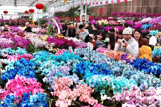 京城年味：北京<em>丰台</em>七大花卉市场准备好了！