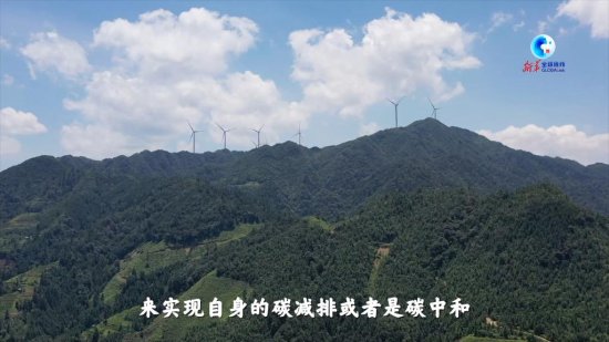 全球连线丨“种树卖空气”帮助中国<em>西南山区</em>“美丽生态”变“...