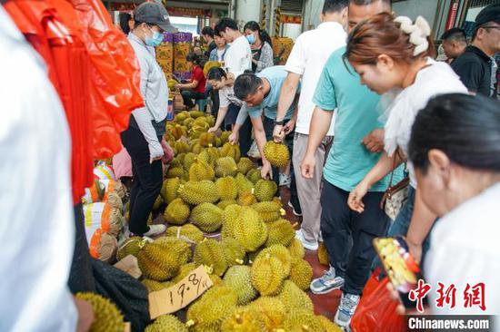 广西南宁：泰国榴莲大量上市 吸引民众选购