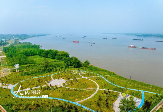 安徽芜湖：长江岸线水清岸绿景美