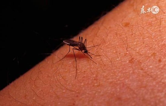 疾控中心/原标题：蚊虫生长繁殖逐渐进入高峰期疾控中心发出提醒