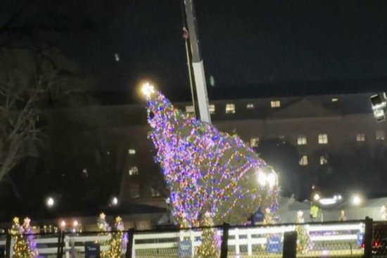 美媒：美“国家<em>圣诞树</em>”被吹倒，白宫紧急抢修