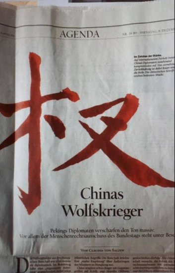 不懂中文的尴尬？德媒报道<em>指责</em>中国“战狼外交”，汉字写错了