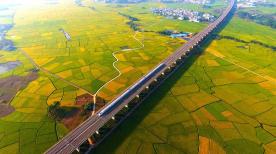 宾阳县古辣镇上榜首批国家农业产业强镇名单