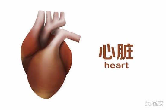 体检查出窦性心律，是心脏<em>病的前兆</em>吗？医生一般不主动告诉你