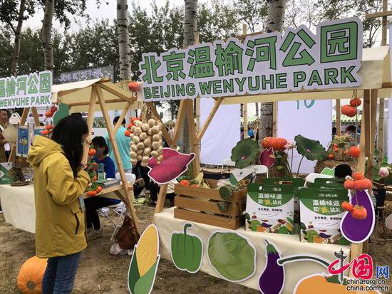 第34届北京农民艺术节开幕 朝阳发布12条特色旅游线路