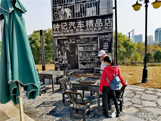 实拍<em>深圳中心公园</em>的百态人生，有休闲游玩的，有为生活奋斗的