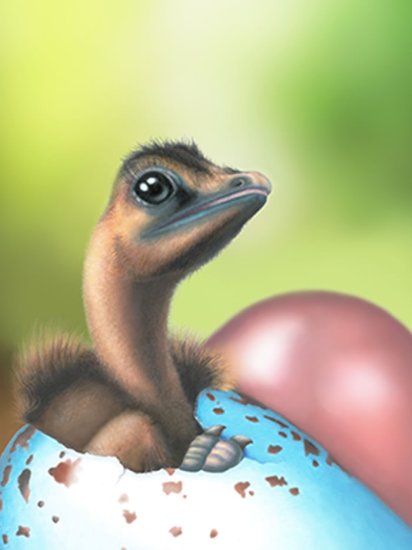 彩色蛋只<em>演化出</em>一次 现代鸟类的蛋壳色素沉着机制源自<em>恐龙</em>