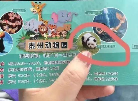 媒体评动物园上新“熊猫犬” 创意引热议，实为<em>松狮</em>扮熊猫
