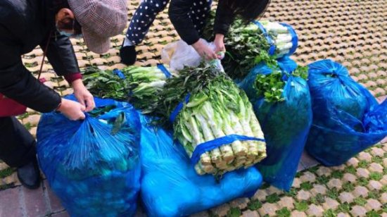 新鲜蔬菜<em>免费取</em> 帮忙在中东采购口罩…宁波有个"暖心"小区