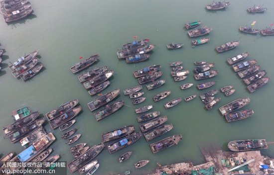 江苏/2017年1月19日，大量渔船靠泊江苏省连云港市连岛渔港内避风。