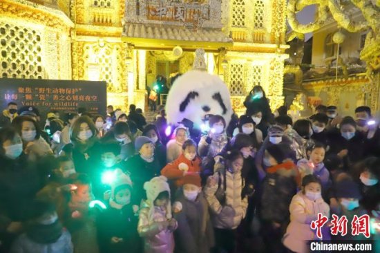 中国瓷房子首开免费夜游 光影互动传递动物保护理念