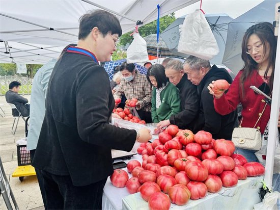 签约金额达8.29亿元 宿州绿色农产品杭州展示展销会在杭开幕