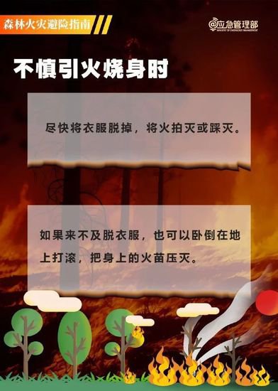 贵州省长顺县发生山林火情，3人遇难